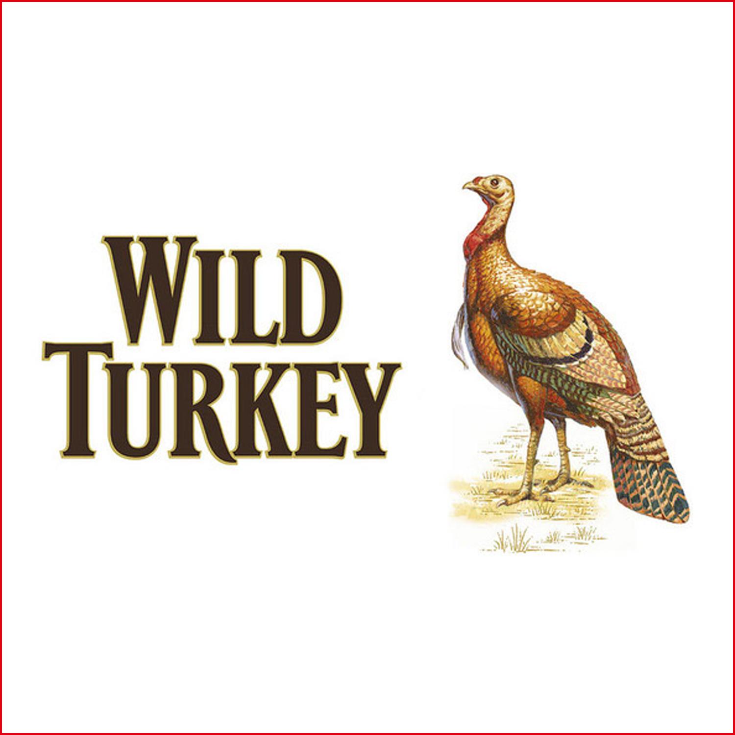野火鸡 Wild Turkey